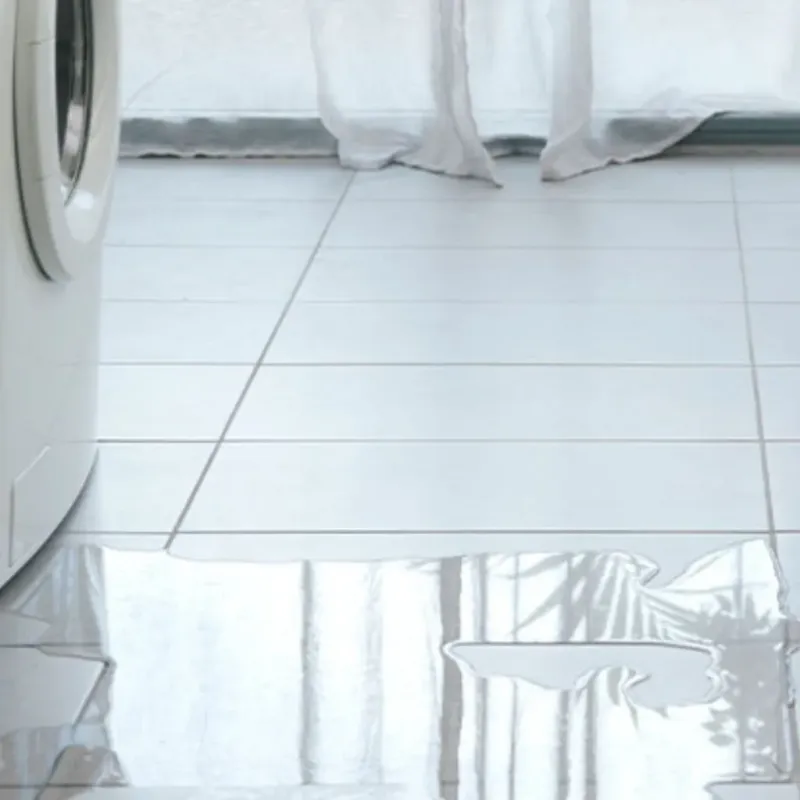 Appliance Leak Cleanup in Claxton, GA
