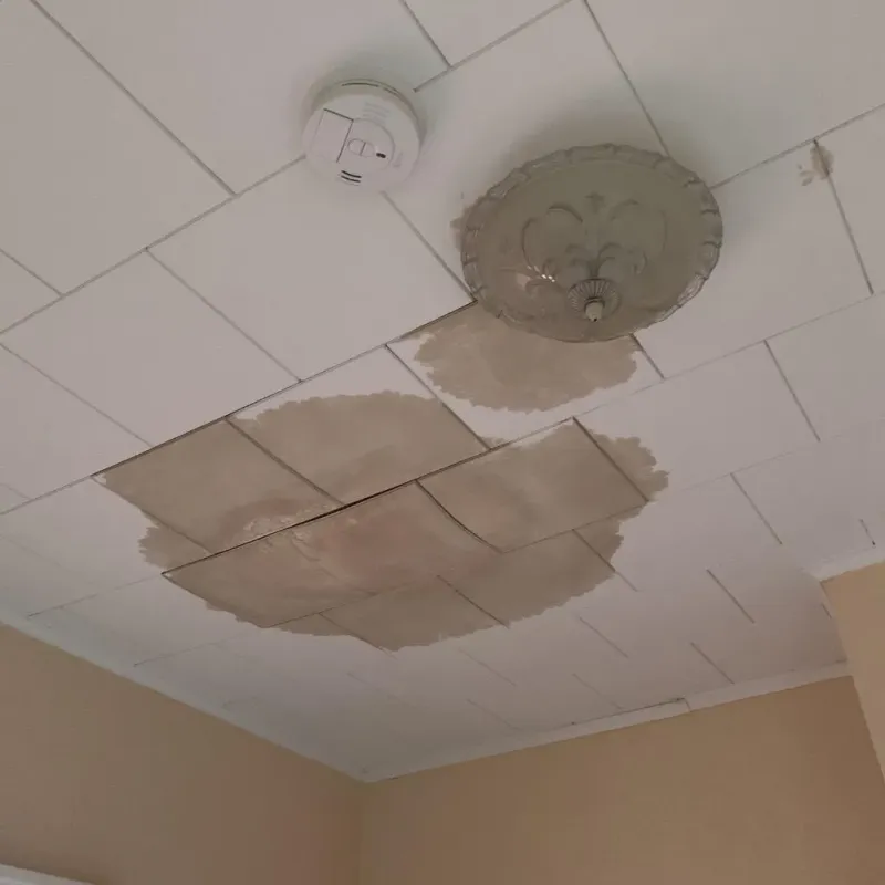 Ceiling Water Damage Repair in Claxton, GA