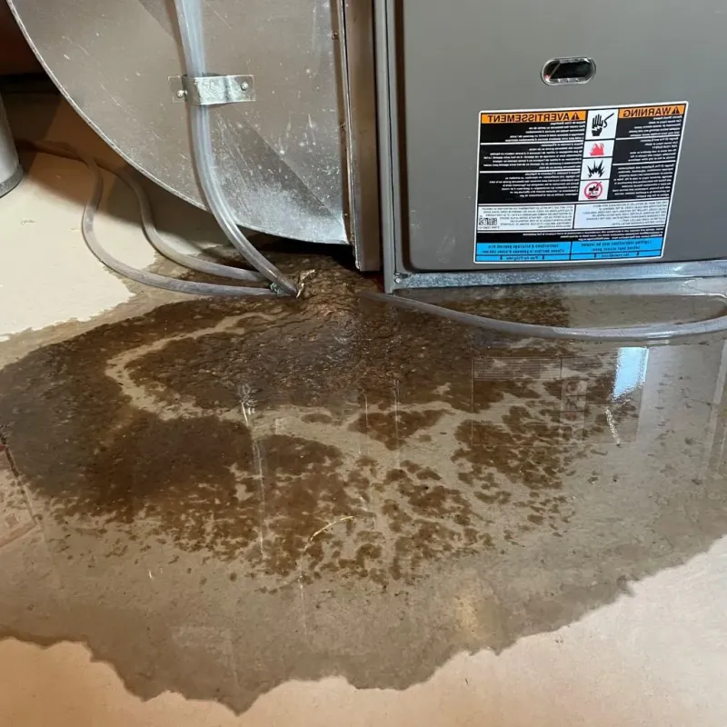 Pipe Burst and Leak Restoration in Claxton, GA