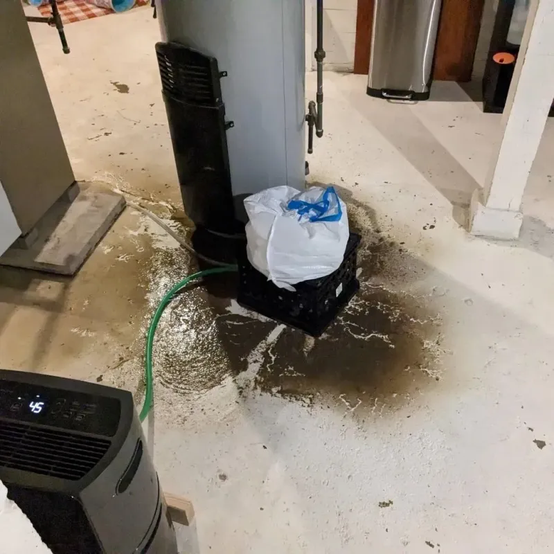 Sewage Backup Cleanup Service in Claxton, GA